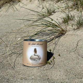 H. C. Andersen The Little Mermaid Organic Tea