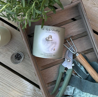 H. C. Andersen The Ugly Duckling Organic Tea