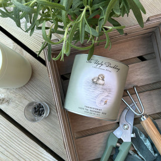 H. C. Andersen The Ugly Duckling Organic Tea