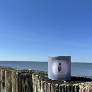 H. C. Andersen The Steadfast Tin Soildier Organic Tea