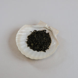 Soft Jasmine Blossom